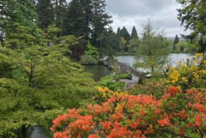 Crystal Springs Rhododendron Garden