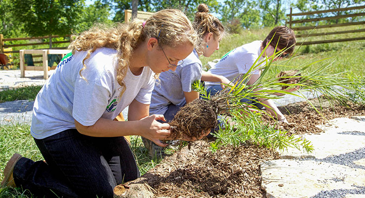 Applications now open for horticultural scholarships