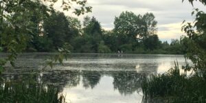 Whitaker Ponds Nature Park