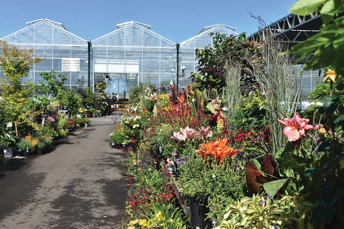 Terra Gardens’ redesign has accessibility in mind