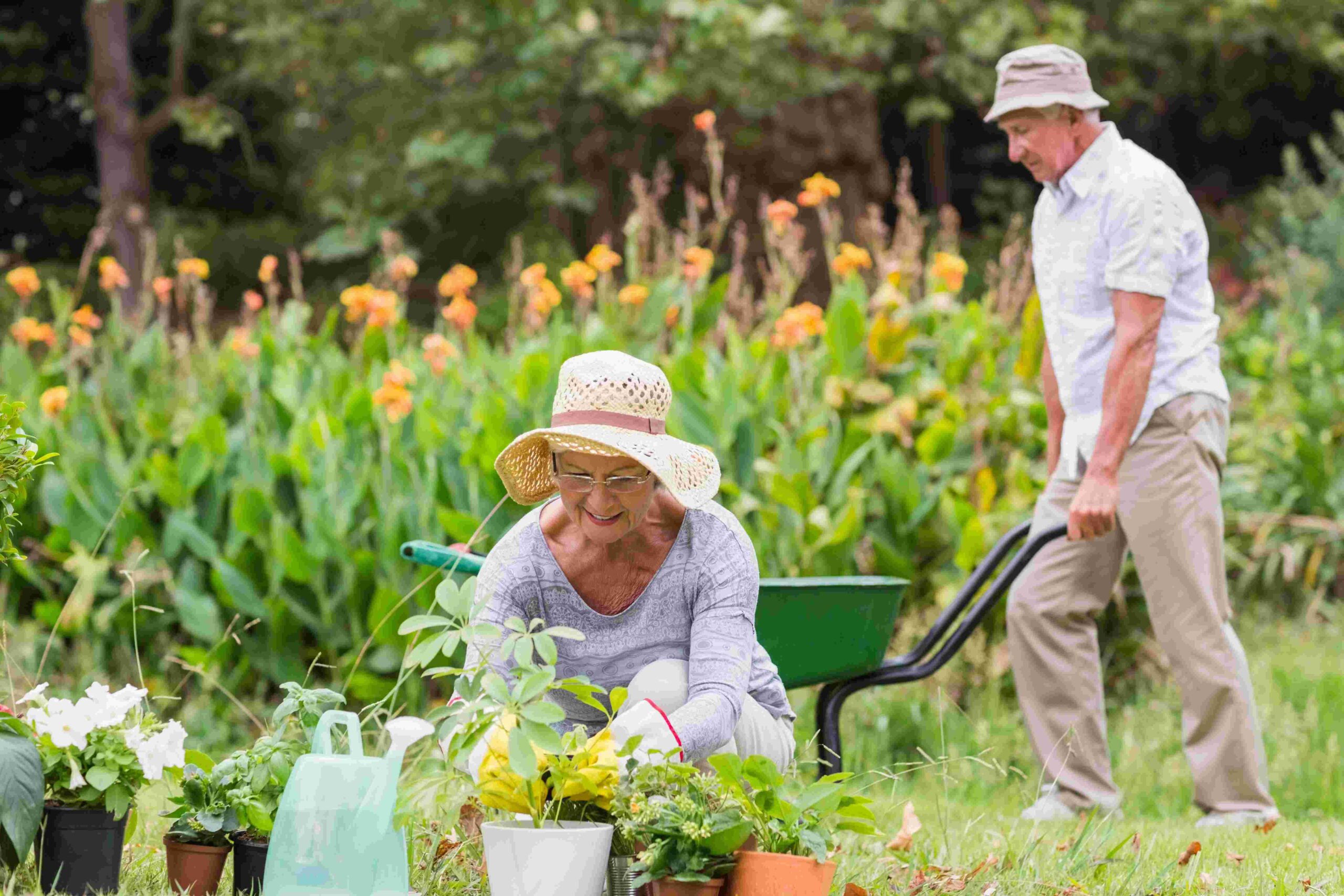 Gardening is good for the mind and the body, report finds