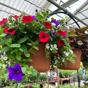 Al’s in Bloom