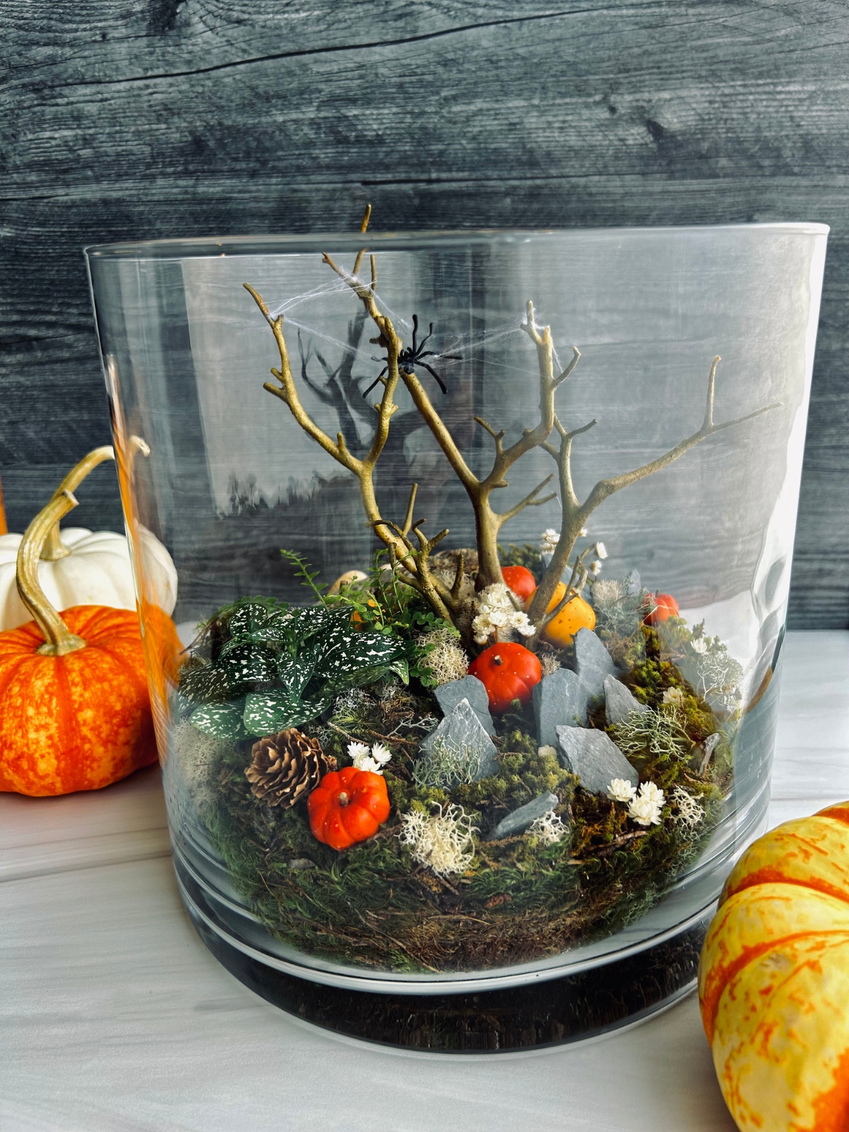 Halloween ‘terroriums’ make a spooky addition to your home décor
