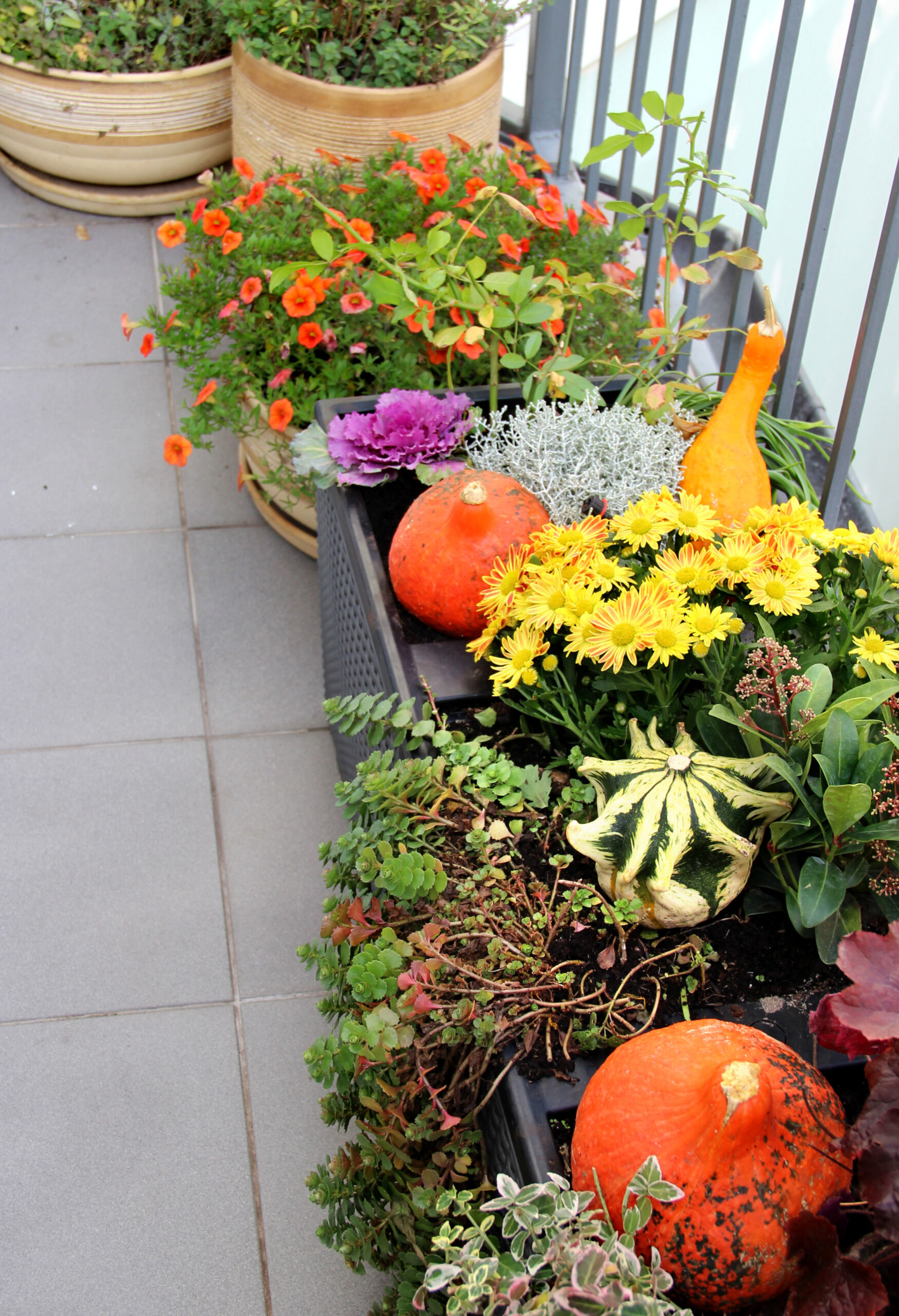 Keep your planted containers looking good through the fall
