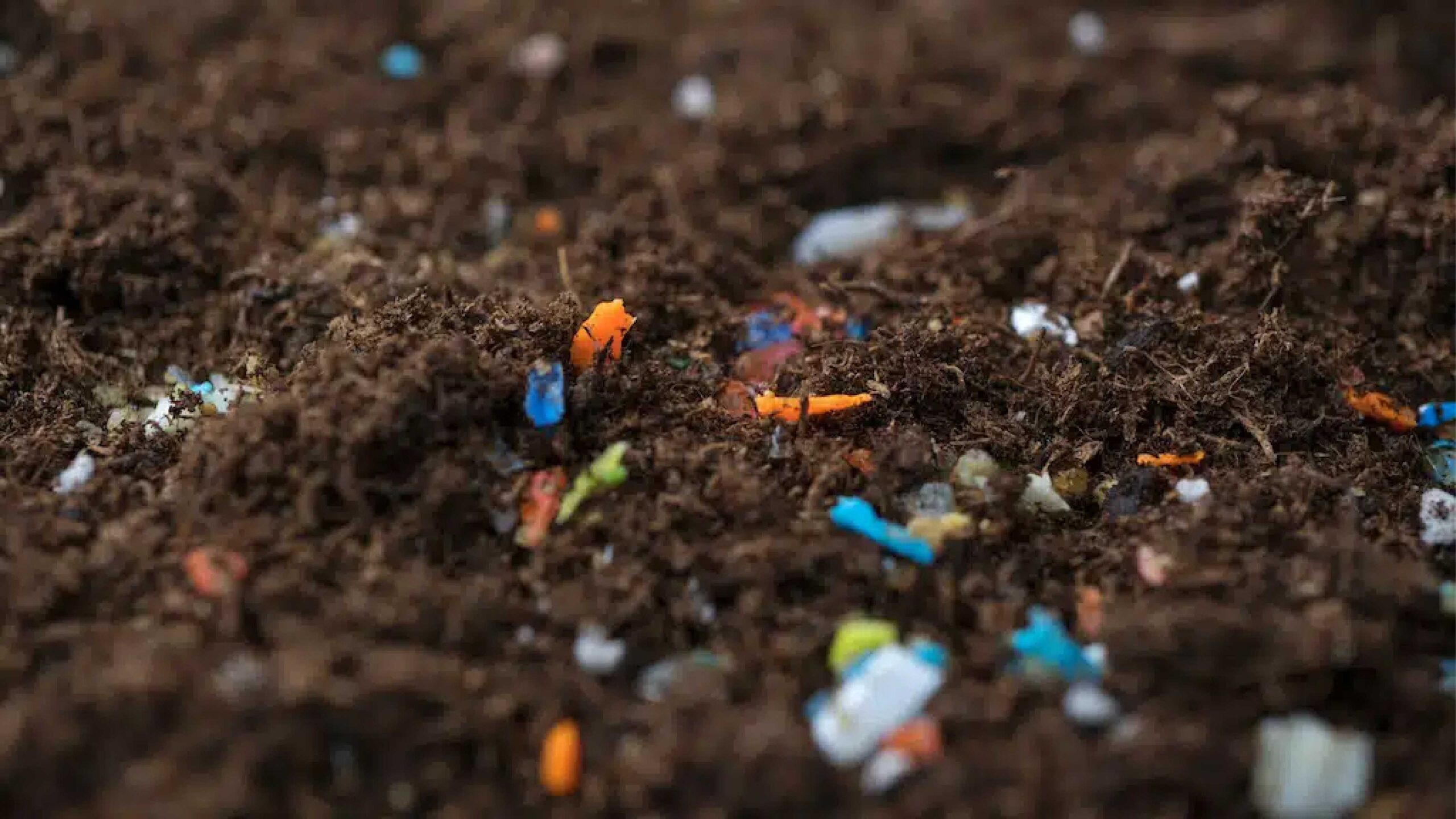 Learn about microplastics in garden soil